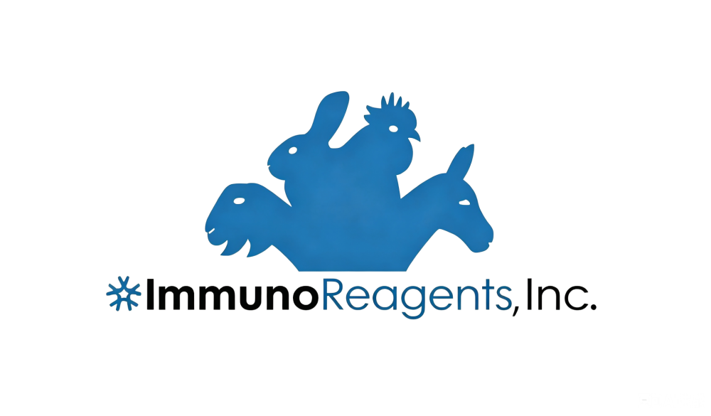 IMR
